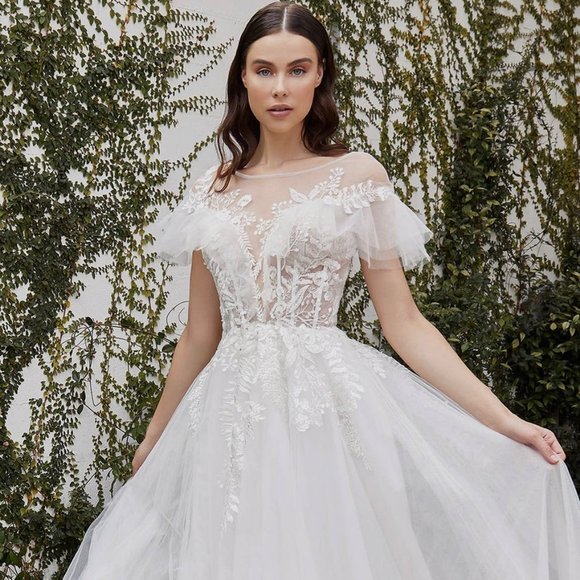 Enchanting Cinderella Divine Lace and Tulle Gown for Unforgettable Occasions